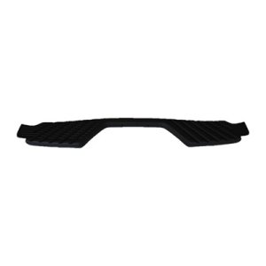 2001 - 2004 Nissan Frontier Rear Bumper Step Pad