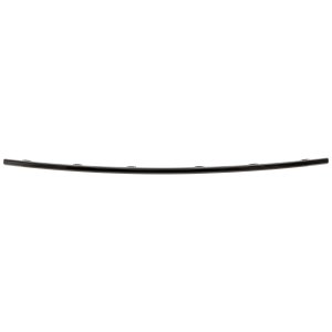 2021 - 2025 Audi Q5 Rear Bumper Molding