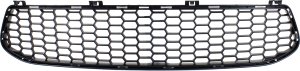 2016 - 2018 BMW M2 Front Bumper Grille