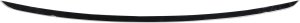 2016 - 2018 BMW 320i Front Bumper Molding