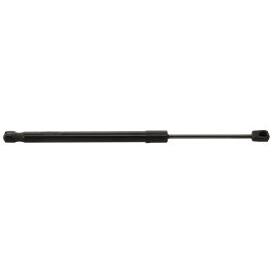 2017 - 2019 Buick LaCrosse Hood Lift Assembly