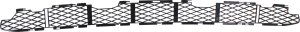 Front Bumper Grille for 2004-2006 BMW X5, Lower Section, Black Color, Replacement