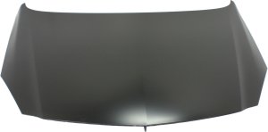2011 - 2011 Buick Regal Hood Replacement