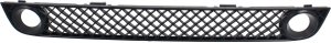 Front Bumper Grille Inner for Chevrolet Trailblazer 2006-2009, Fits LS/LT/SS Models, Replacement