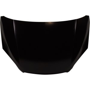 2013 - 2016 Chevrolet (Chevy) Trax Hood Panel Assy