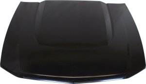 2010 - 2012 Ford Mustang Hood Panel Assy