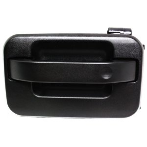 2005 - 2006 Ford F-150 Door Handle (Exterior, Rear Left Driver Side)