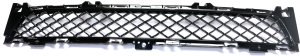 2011 - 2015 Jaguar Xj Front Grille Assembly - Center