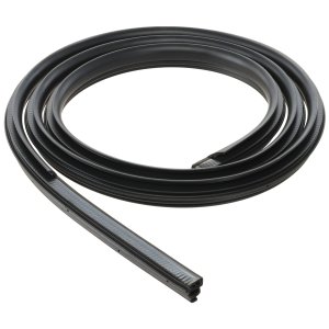 2004 - 2008 Ford F-150 Rear Door Weatherstrip (Right / Passenger Side)