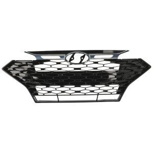 2019 - 2020 Hyundai Elantra Grille Assembly