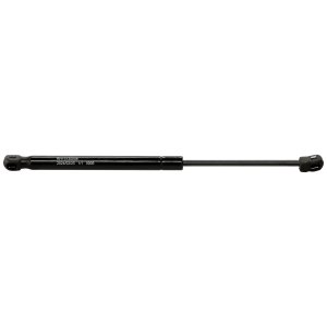 2018 - 2019 Hyundai Sonata Lift Support - Left (Driver)