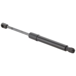 2020 - 2025 Hyundai Palisade Hood Lift Assembly