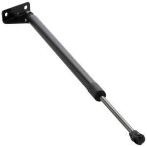 2019 - 2020 Hyundai Santa Fe Lift Support - Right (Passenger)