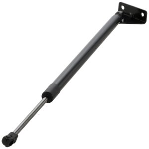 2019 - 2020 Hyundai Santa Fe Lift Support - Left (Driver)