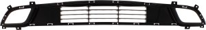 2017 - 2018 Kia Forte Front Bumper Grille