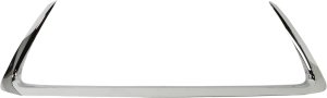 2016 - 2017 Lexus Ct200h Grille Molding Lower