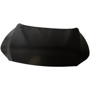 2023 - 2025 Lexus RX350 Hood Panel Assembly