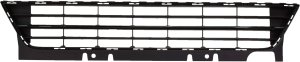 2017 - 2018 Volkswagen Beetle Grille Assembly