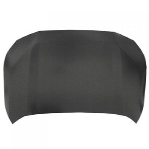 2019 - 2025 Toyota RAV4 Hood Panel Assembly