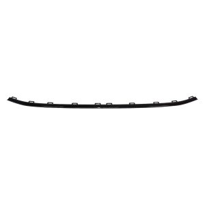 2020 - 2020 Volkswagen Tiguan Front Bumper Molding