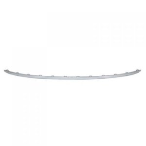 2016 - 2019 Volkswagen Passat Rear Bumper Molding