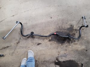 2022-2025 Nissan Rogue Suspension Stabilizer Bar Assembly - Rear (Used OEM)