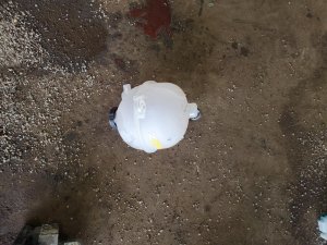 2022-2025 Hyundai Santa Cruz Engine Coolant Reservoir Assembly (Used OEM)