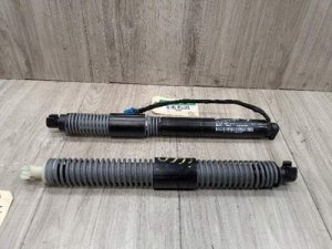 2017-2023 BMW M550i xDrive Trunk Lid Spindle Drive, Right (Used OEM)