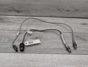 2019-2024 BMW X3 Blue Regulating Oxygen Sensor (Used OEM)