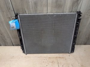 2018-2019 BMW X3 Black Radiator (Used OEM)