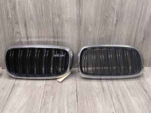 2015-2019 BMW X6 Front Kidney Grille Set (Used OEM)