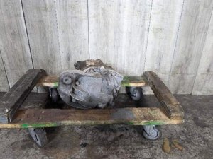 2010-2011 BMW X6 Black Rear Axle Differential (Used OEM)