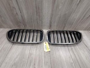 2018-2020 BMW 530e Blue Front Kidney Grille Set (Used OEM)