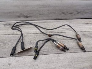 2004-2006 BMW X3 Blue Oxygen Sensor (Used OEM)