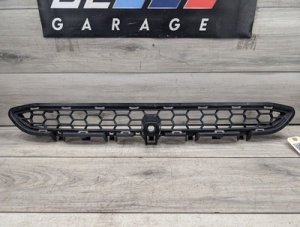 2015-2019 BMW X6 Grille, Middle Top, Open (Used OEM)