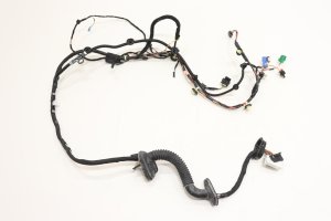 2017-2023 Tesla 3 Door Wiring Harness - Front, Left (Driver) (Used OEM)