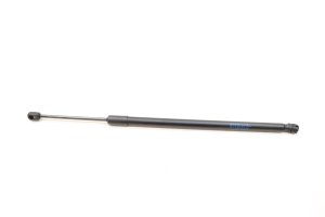 2023-2025 Acura Integra Liftgate Lift Support - Rear (Used OEM)