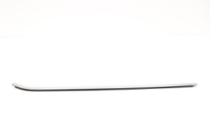 2015-2019 BMW X6 Door Window Belt Molding - Front, Left (Driver) (Used OEM)