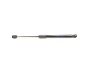 2017-2022 Volkswagen Passat Trunk Lid Lift Support (Used OEM)