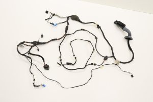 2018-2025 BMW X4 Door Wiring Harness - Front (Used OEM)