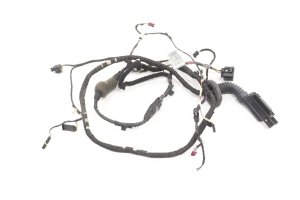 2018-2020 BMW 530e Door Wiring Harness - Rear (Used OEM)