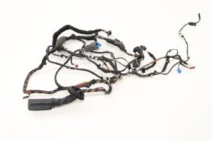2017-2019 BMW 750Li Rear Door Wiring Harness - Front (Used OEM)