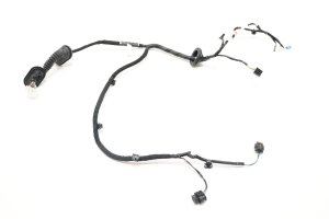 2017-2023 Tesla 3 Door Wiring Harness - Rear (Used OEM)