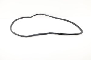 2015-2017 Lexus NX200t Door Weatherstrip Seal - Rear (Used OEM)