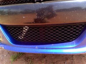 2013-2016 Dodge Dart Silver Lower Center Grille (Used OEM)
