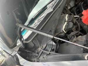 2015-2020 Ford F-150 Hood Hinge Set (Used OEM)