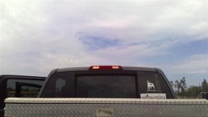 2004-2010 INFINITI QX56 Center High Mount Stop Light Bulb with Cargo Light (Used OEM)