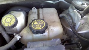 2016 Chevrolet Malibu Limited White Engine Coolant Reservoir Assembly (Used OEM)