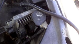 2005-2010 Pontiac G6 Washer Fluid Reservoir without Level Sensor (Used OEM)