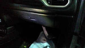 2015-2023 Jeep Renegade Black Glove Box (Used OEM)